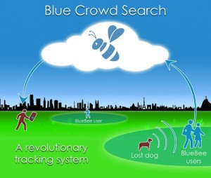 Blue Crowd Search