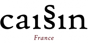 Caissin-logo