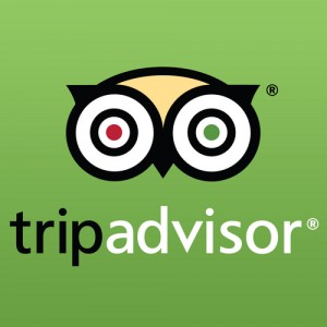 tripadvisor-logo