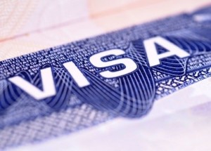 American Visa (XL)