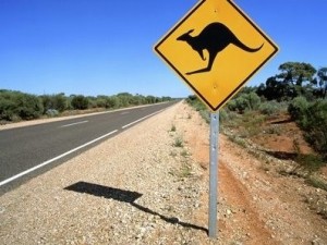 australie-panneau-kangourou